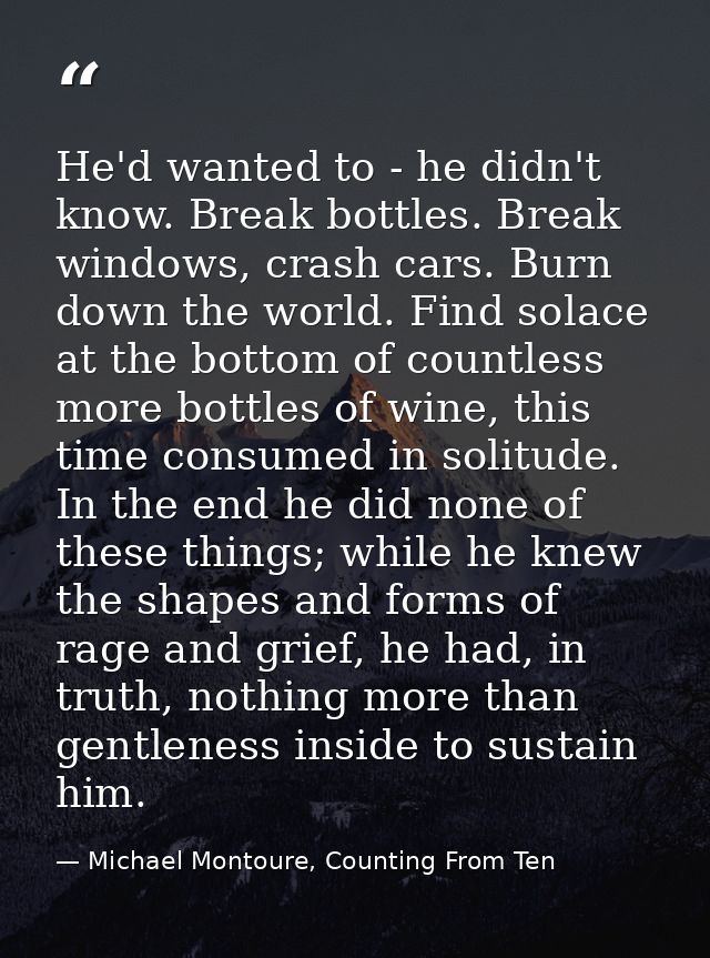 He'd wanted to - he didn't know. Break bottles. Break windows, crash cars. Burn down the world. Find solace at the botto — Michael Montoure, Counting From Ten
