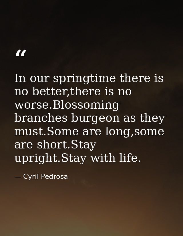 In our springtime there is no better,there is no worse.Blossoming branches burgeon as they must.Some are long,some are s — Cyril Pedrosa