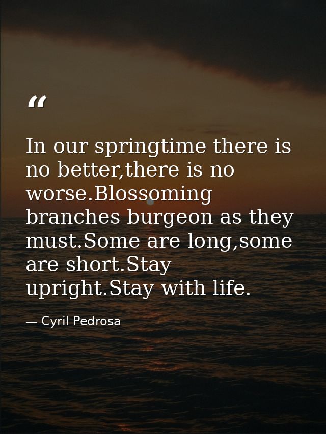 In our springtime there is no better,there is no worse.Blossoming branches burgeon as they must.Some are long,some are s — Cyril Pedrosa
