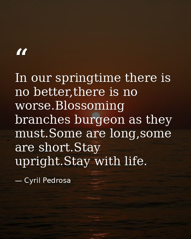 In our springtime there is no better,there is no worse.Blossoming branches burgeon as they must.Some are long,some are s — Cyril Pedrosa
