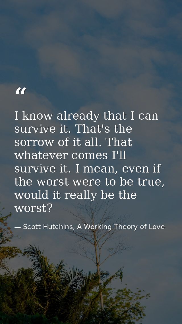 I know already that I can survive it. That's the sorrow of it all. That whatever comes I'll survive it. I mean, even if  — Scott Hutchins, A Working Theory of Love