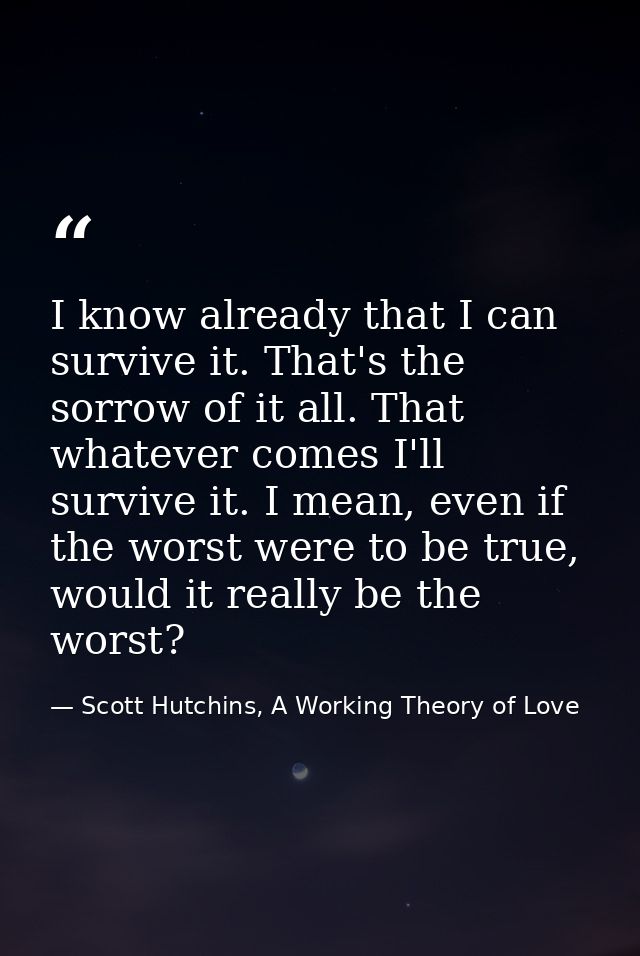 I know already that I can survive it. That's the sorrow of it all. That whatever comes I'll survive it. I mean, even if  — Scott Hutchins, A Working Theory of Love