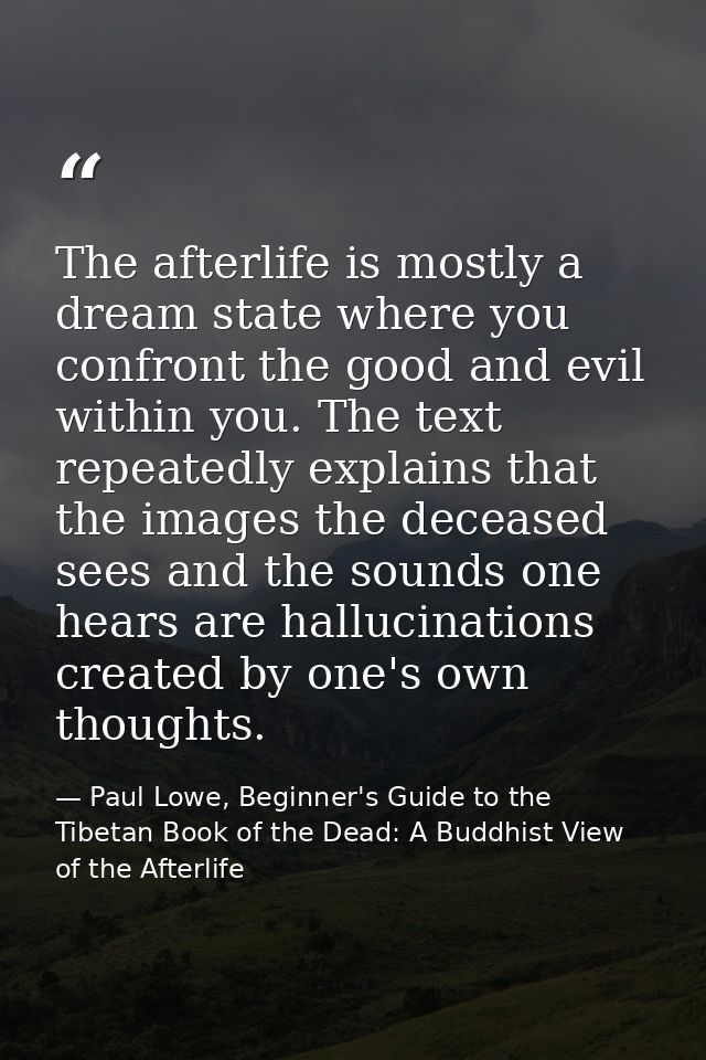 The afterlife is mostly a dream state where you confront the good and evil within you. The text repeatedly explains that — Paul Lowe, Beginner's Guide to the Tibetan Book of the Dead: A Buddhist View of the Afterlife