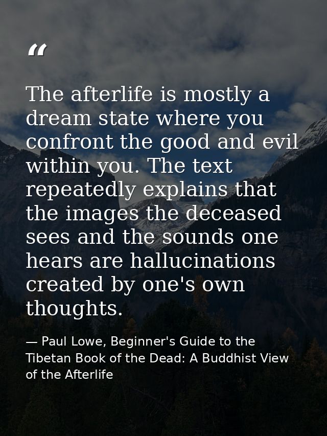 The afterlife is mostly a dream state where you confront the good and evil within you. The text repeatedly explains that — Paul Lowe, Beginner's Guide to the Tibetan Book of the Dead: A Buddhist View of the Afterlife