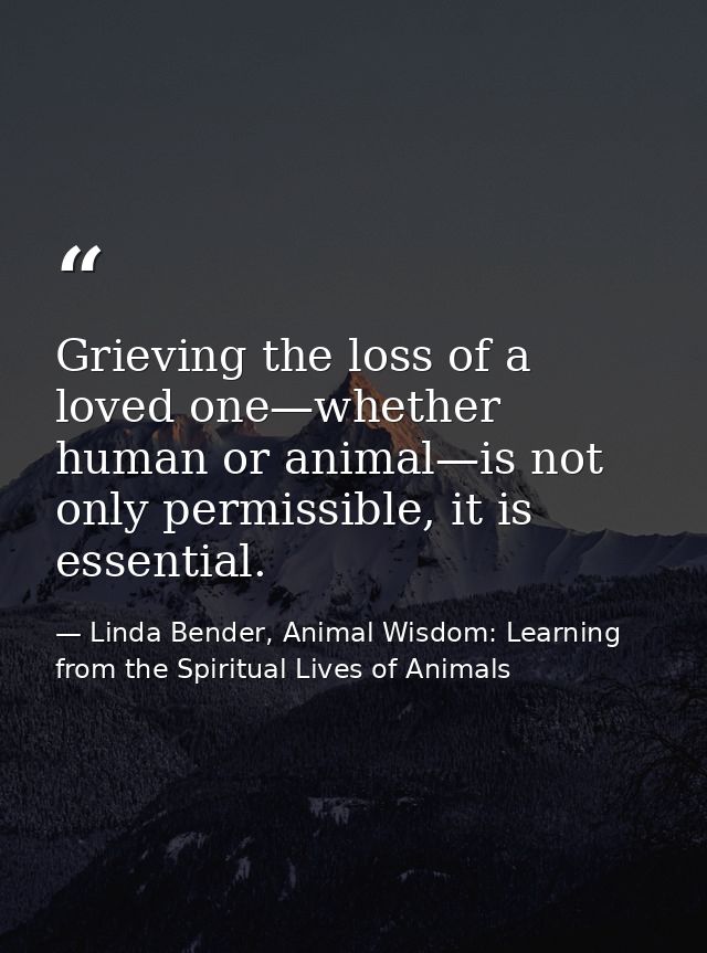 Grieving the loss of a loved one—whether human or animal—is not only permissible, it is essential. — Linda Bender, Animal Wisdom: Learning from the Spiritual Lives of Animals