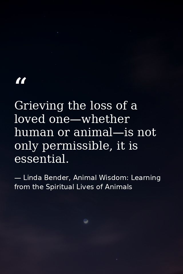 Grieving the loss of a loved one—whether human or animal—is not only permissible, it is essential. — Linda Bender, Animal Wisdom: Learning from the Spiritual Lives of Animals