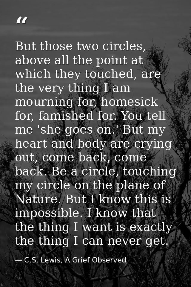 But those two circles, above all the point at which they touched, are the very thing I am mourning for, homesick for, fa — C.S. Lewis, A Grief Observed
