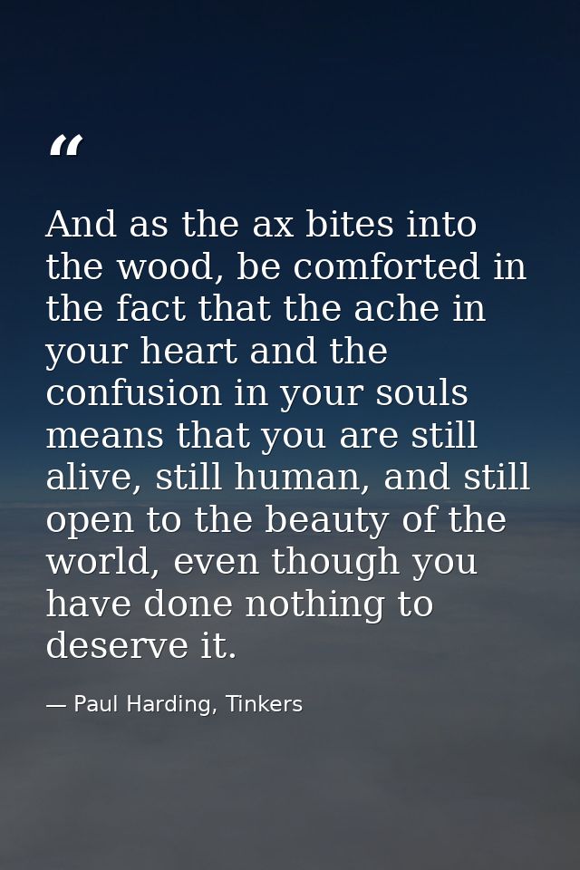 And as the ax bites into the wood, be comforted in the fact that the ache in your heart and the confusion in your souls  — Paul Harding, Tinkers