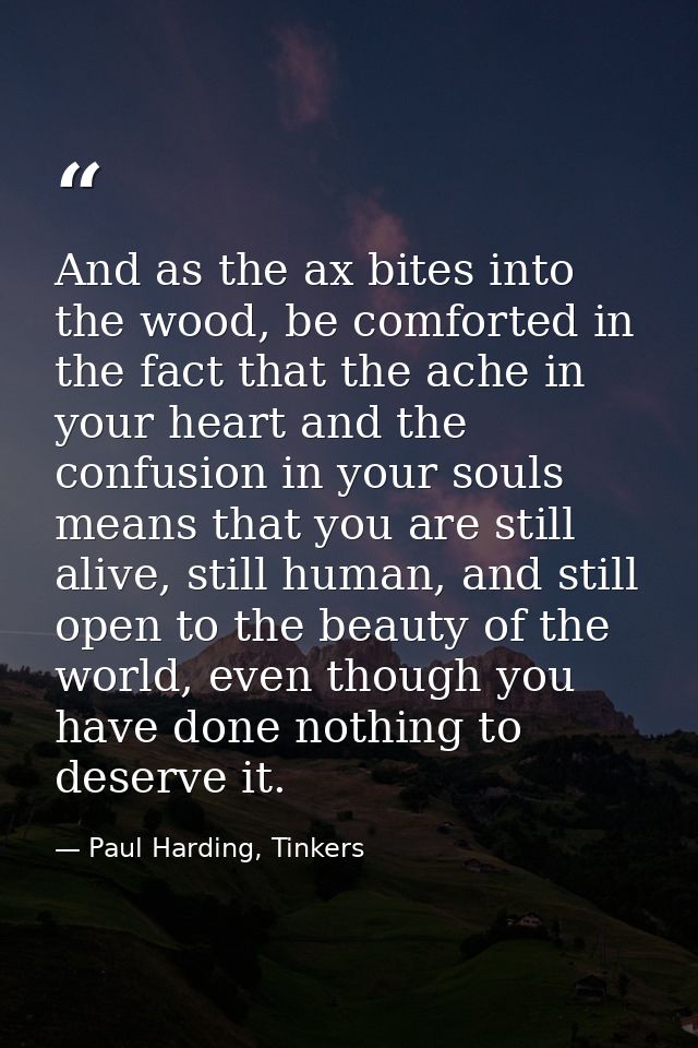 And as the ax bites into the wood, be comforted in the fact that the ache in your heart and the confusion in your souls  — Paul Harding, Tinkers