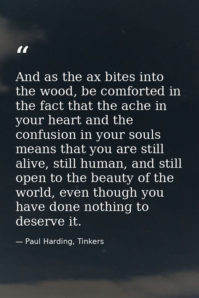 And as the ax bites into the wood, be comforted in the fact that the ache in your heart and the confusion in your souls  — Paul Harding, Tinkers