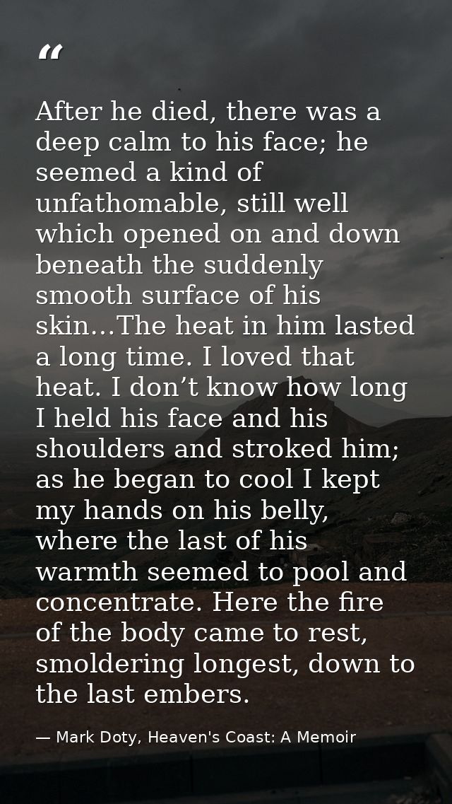After he died, there was a deep calm to his face; he seemed a kind of unfathomable, still well which opened on and down  — Mark Doty, Heaven's Coast: A Memoir