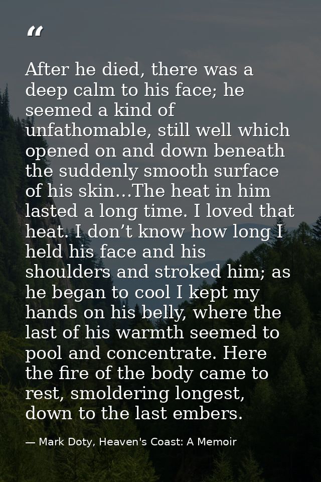 After he died, there was a deep calm to his face; he seemed a kind of unfathomable, still well which opened on and down  — Mark Doty, Heaven's Coast: A Memoir