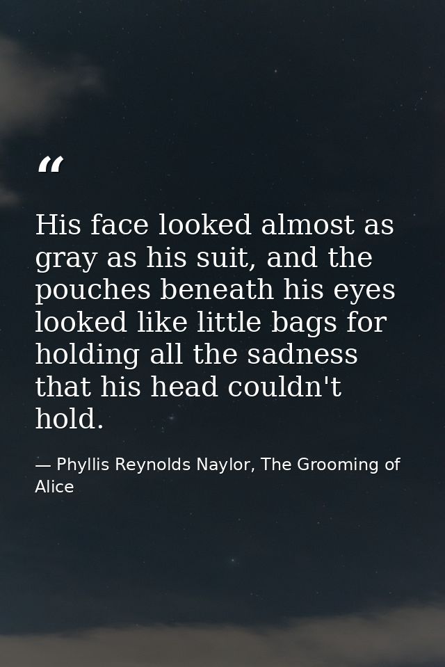 His face looked almost as gray as his suit, and the pouches beneath his eyes looked like little bags for holding all the — Phyllis Reynolds Naylor, The Grooming of Alice