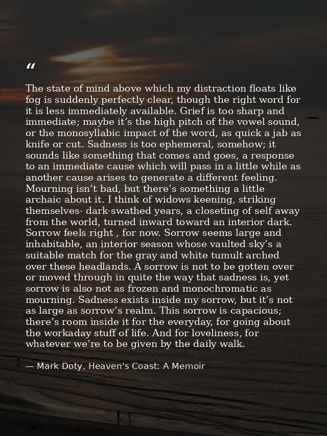 The state of mind above which my distraction floats like fog is suddenly perfectly clear, though the right word for it i — Mark Doty, Heaven's Coast: A Memoir