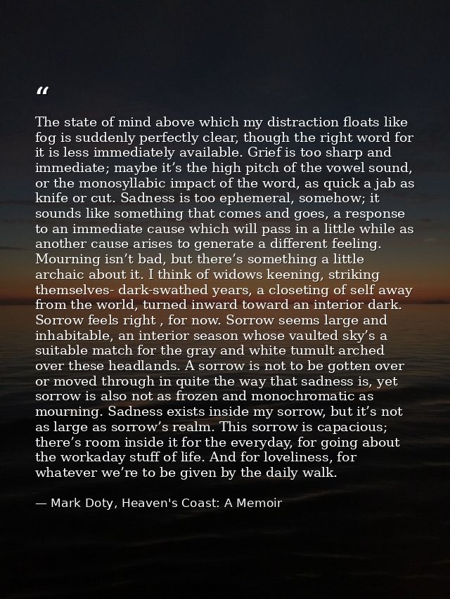 The state of mind above which my distraction floats like fog is suddenly perfectly clear, though the right word for it i — Mark Doty, Heaven's Coast: A Memoir