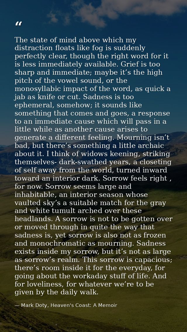 The state of mind above which my distraction floats like fog is suddenly perfectly clear, though the right word for it i — Mark Doty, Heaven's Coast: A Memoir
