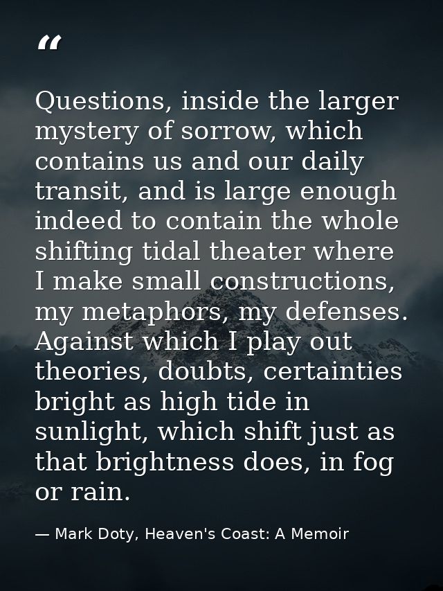 Questions, inside the larger mystery of sorrow, which contains us and our daily transit, and is large enough indeed to c — Mark Doty, Heaven's Coast: A Memoir