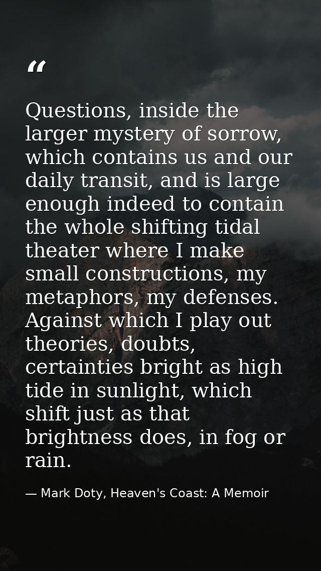 Questions, inside the larger mystery of sorrow, which contains us and our daily transit, and is large enough indeed to c — Mark Doty, Heaven's Coast: A Memoir