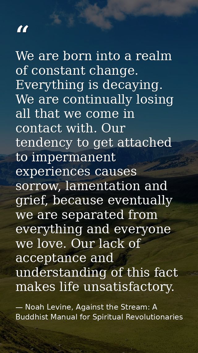We are born into a realm of constant change. Everything is decaying. We are continually losing all that we come in conta — Noah Levine, Against the Stream: A Buddhist Manual for Spiritual Revolutionaries