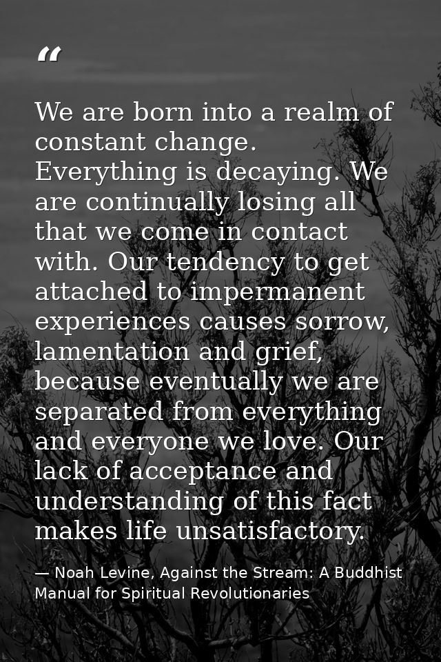We are born into a realm of constant change. Everything is decaying. We are continually losing all that we come in conta — Noah Levine, Against the Stream: A Buddhist Manual for Spiritual Revolutionaries