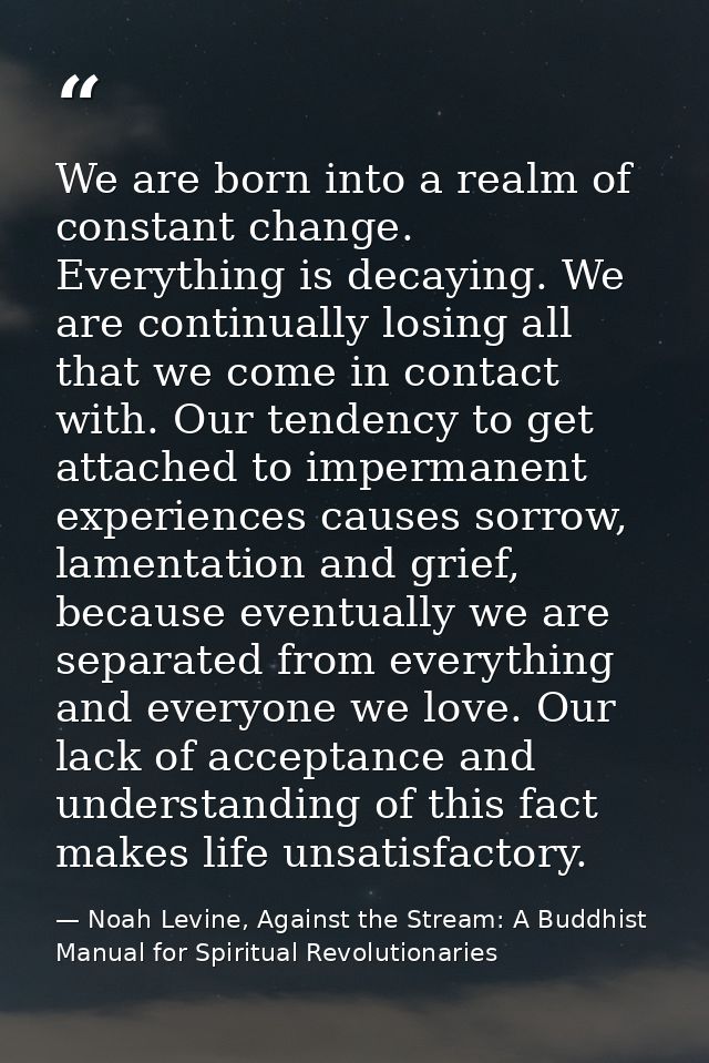 We are born into a realm of constant change. Everything is decaying. We are continually losing all that we come in conta — Noah Levine, Against the Stream: A Buddhist Manual for Spiritual Revolutionaries