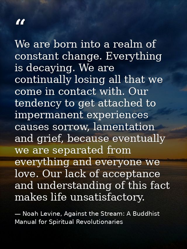 We are born into a realm of constant change. Everything is decaying. We are continually losing all that we come in conta — Noah Levine, Against the Stream: A Buddhist Manual for Spiritual Revolutionaries