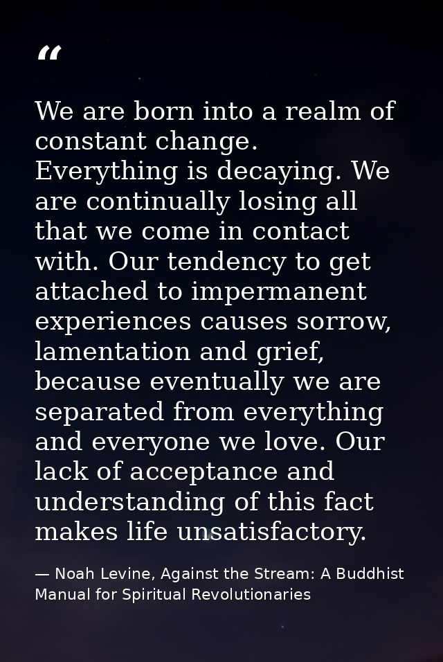 We are born into a realm of constant change. Everything is decaying. We are continually losing all that we come in conta — Noah Levine, Against the Stream: A Buddhist Manual for Spiritual Revolutionaries