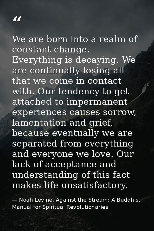 We are born into a realm of constant change. Everything is decaying. We are continually losing all that we come in conta — Noah Levine, Against the Stream: A Buddhist Manual for Spiritual Revolutionaries