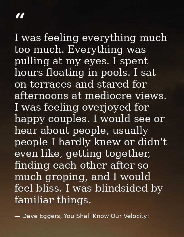 I was feeling everything much too much. Everything was pulling at my eyes. I spent hours floating in pools. I sat on ter — Dave Eggers, You Shall Know Our Velocity!