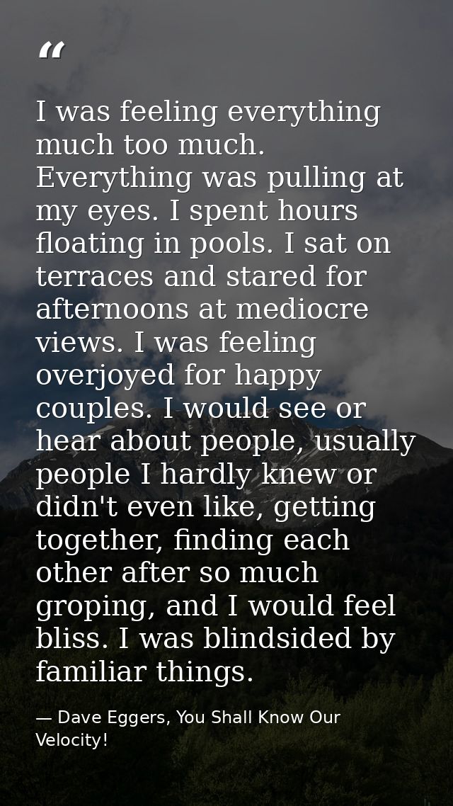 I was feeling everything much too much. Everything was pulling at my eyes. I spent hours floating in pools. I sat on ter — Dave Eggers, You Shall Know Our Velocity!