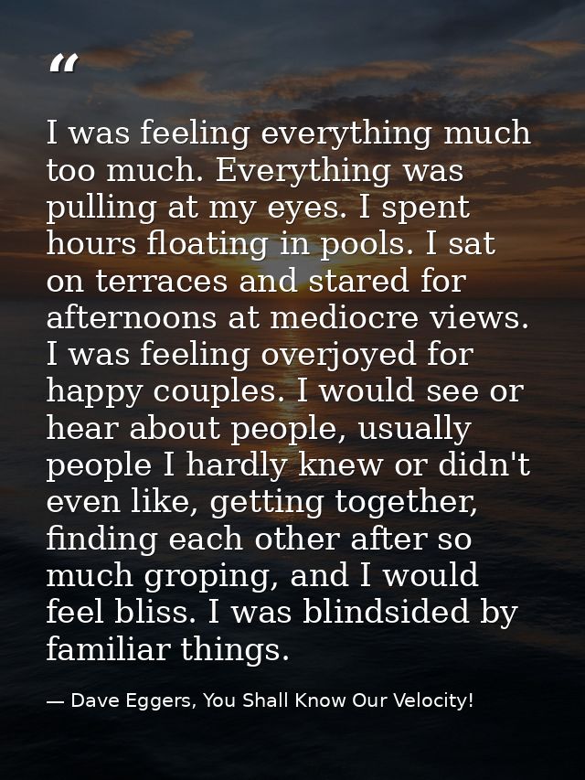 I was feeling everything much too much. Everything was pulling at my eyes. I spent hours floating in pools. I sat on ter — Dave Eggers, You Shall Know Our Velocity!