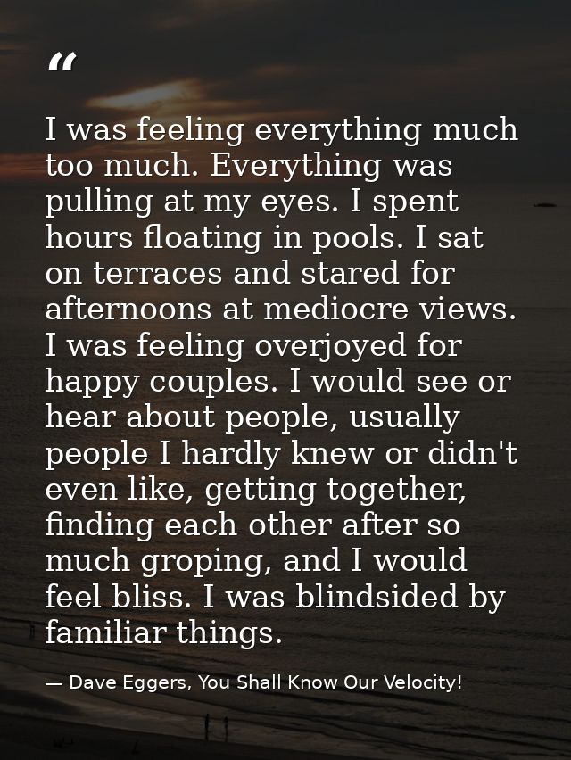 I was feeling everything much too much. Everything was pulling at my eyes. I spent hours floating in pools. I sat on ter — Dave Eggers, You Shall Know Our Velocity!