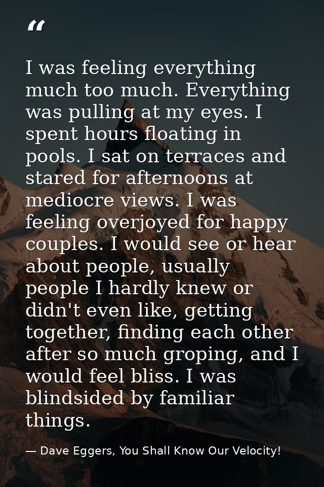 I was feeling everything much too much. Everything was pulling at my eyes. I spent hours floating in pools. I sat on ter — Dave Eggers, You Shall Know Our Velocity!