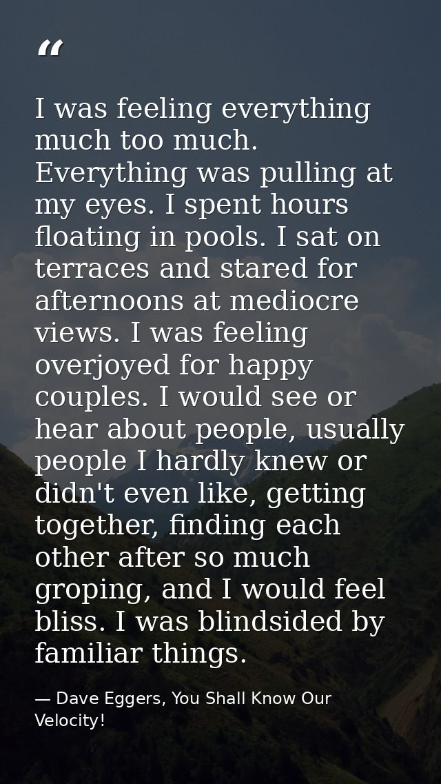 I was feeling everything much too much. Everything was pulling at my eyes. I spent hours floating in pools. I sat on ter — Dave Eggers, You Shall Know Our Velocity!