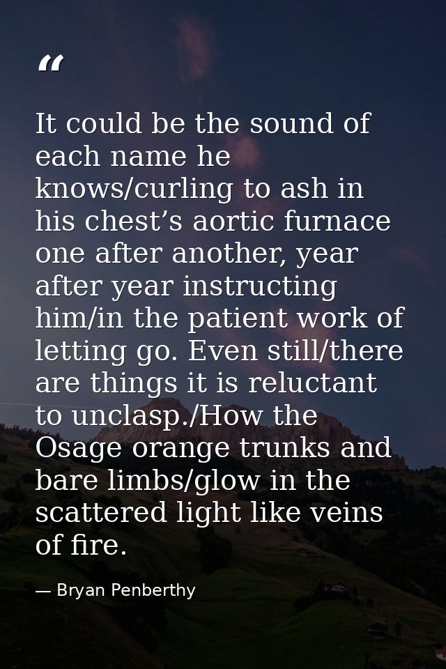 It could be the sound of each name he knows/curling to ash in his chest’s aortic furnace one after another, year after y — Bryan Penberthy