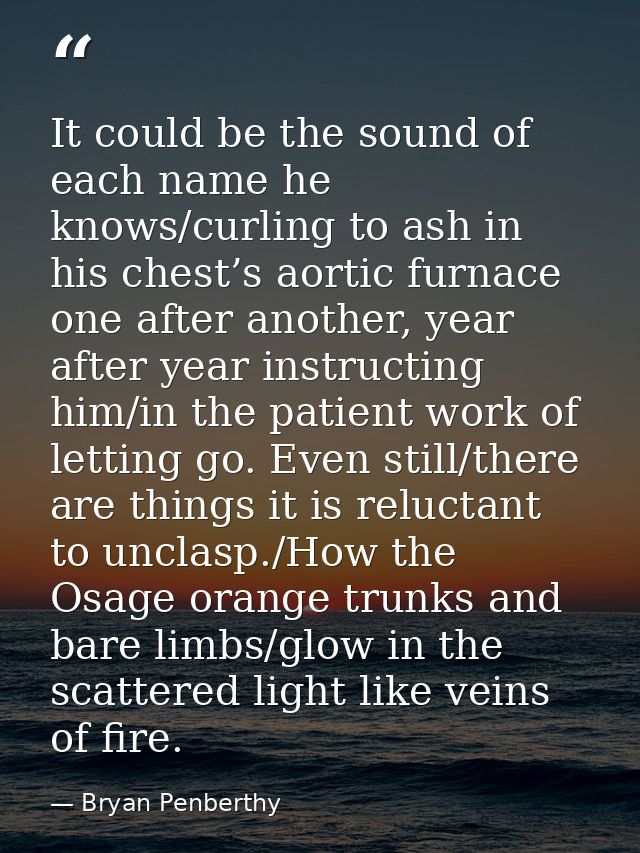 It could be the sound of each name he knows/curling to ash in his chest’s aortic furnace one after another, year after y — Bryan Penberthy