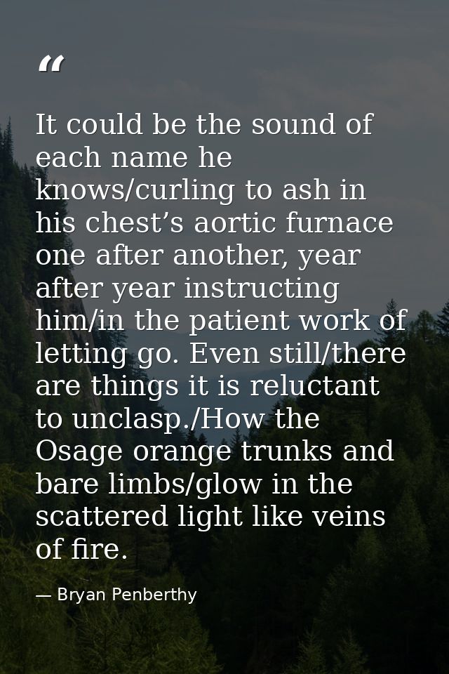 It could be the sound of each name he knows/curling to ash in his chest’s aortic furnace one after another, year after y — Bryan Penberthy