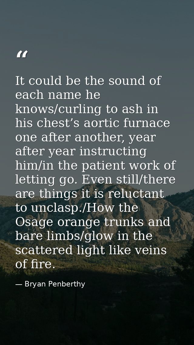 It could be the sound of each name he knows/curling to ash in his chest’s aortic furnace one after another, year after y — Bryan Penberthy