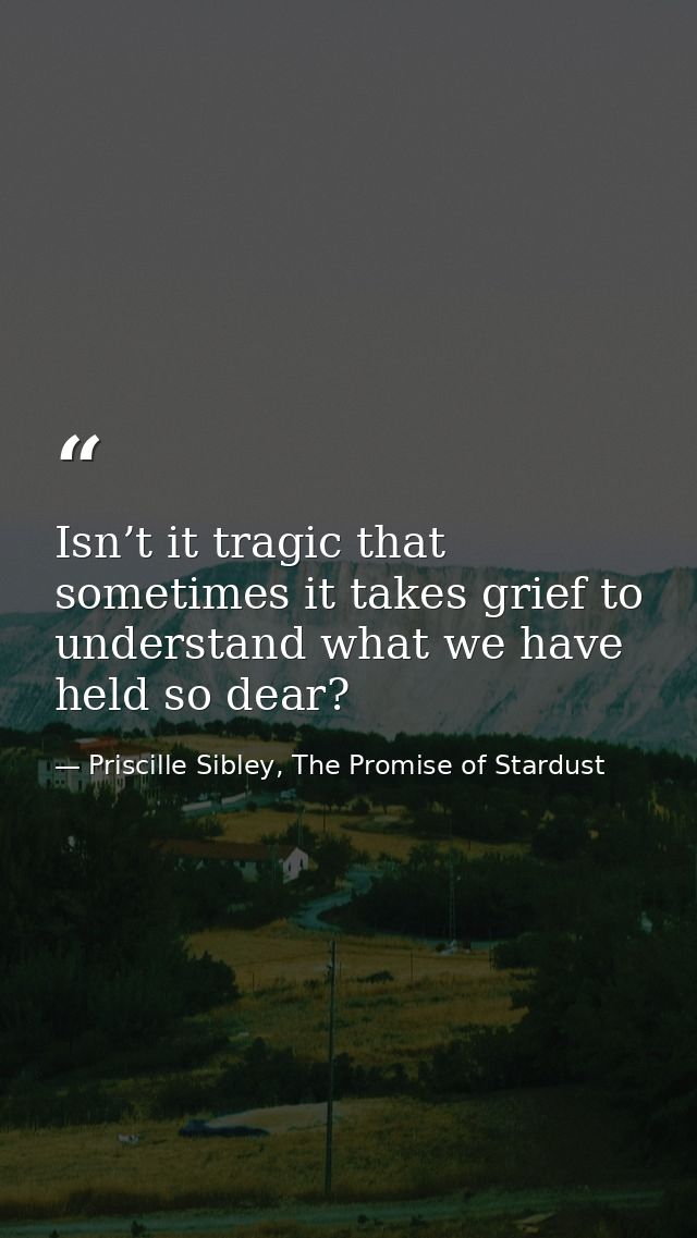 Isn’t it tragic that sometimes it takes grief to understand what we have held so dear? — Priscille Sibley, The Promise of Stardust