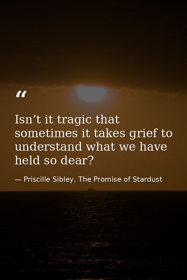 Isn’t it tragic that sometimes it takes grief to understand what we have held so dear? — Priscille Sibley, The Promise of Stardust