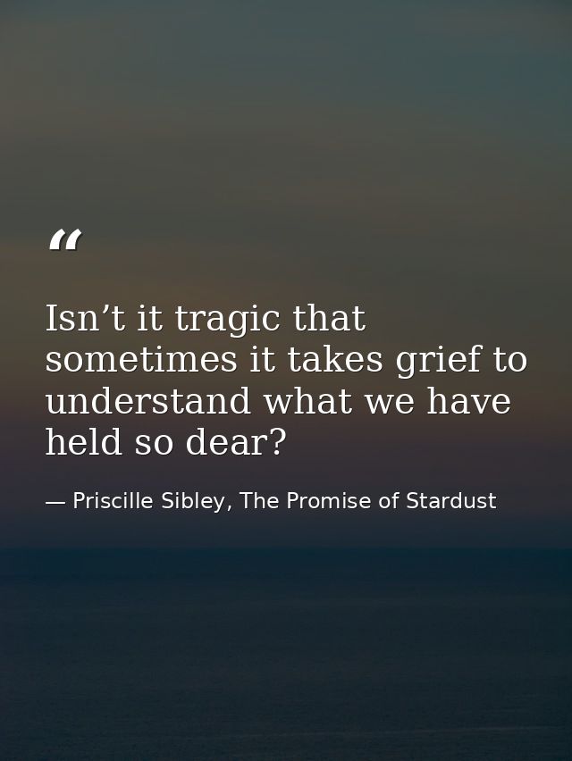 Isn’t it tragic that sometimes it takes grief to understand what we have held so dear? — Priscille Sibley, The Promise of Stardust