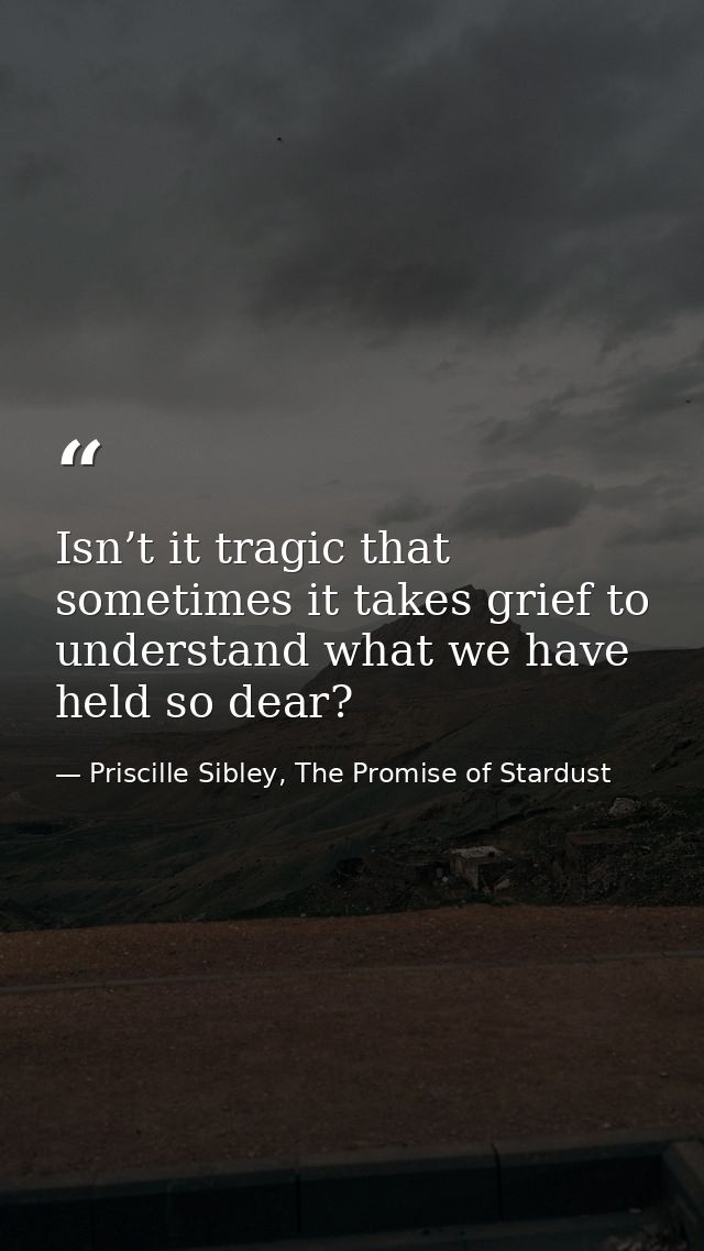 Isn’t it tragic that sometimes it takes grief to understand what we have held so dear? — Priscille Sibley, The Promise of Stardust