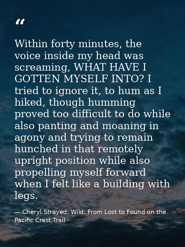 Within forty minutes, the voice inside my head was screaming, WHAT HAVE I GOTTEN MYSELF INTO? I tried to ignore it, to h — Cheryl Strayed, Wild: From Lost to Found on the Pacific Crest Trail
