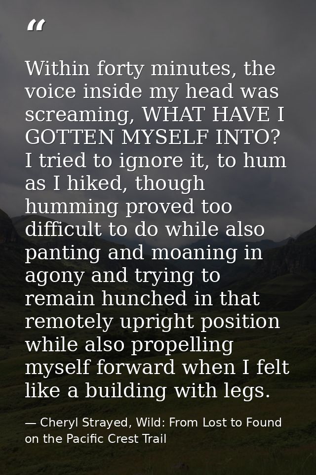 Within forty minutes, the voice inside my head was screaming, WHAT HAVE I GOTTEN MYSELF INTO? I tried to ignore it, to h — Cheryl Strayed, Wild: From Lost to Found on the Pacific Crest Trail