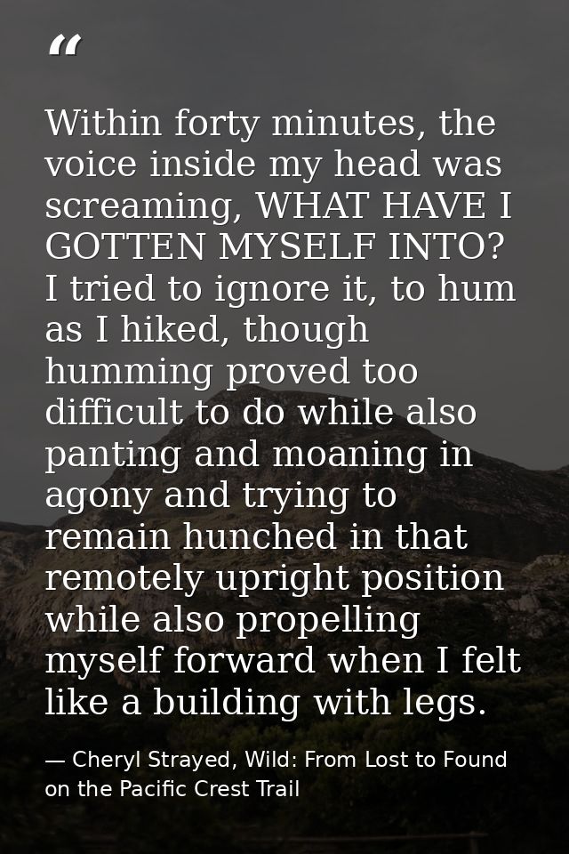 Within forty minutes, the voice inside my head was screaming, WHAT HAVE I GOTTEN MYSELF INTO? I tried to ignore it, to h — Cheryl Strayed, Wild: From Lost to Found on the Pacific Crest Trail