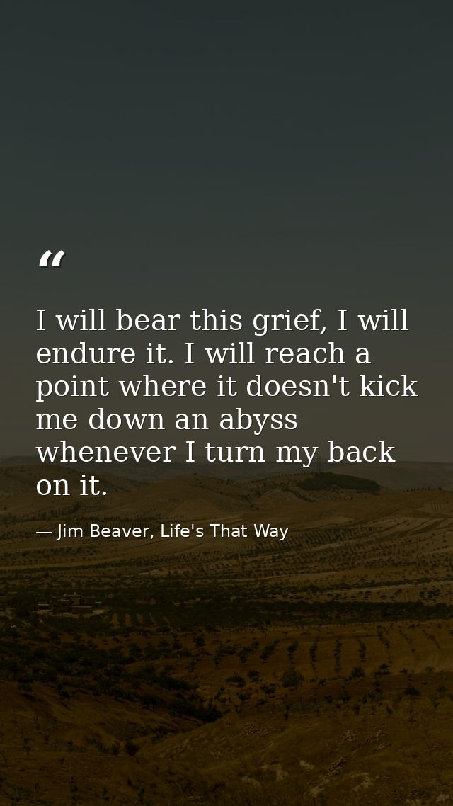 I will bear this grief, I will endure it. I will reach a point where it doesn't kick me down an abyss whenever I turn my — Jim Beaver, Life's That Way