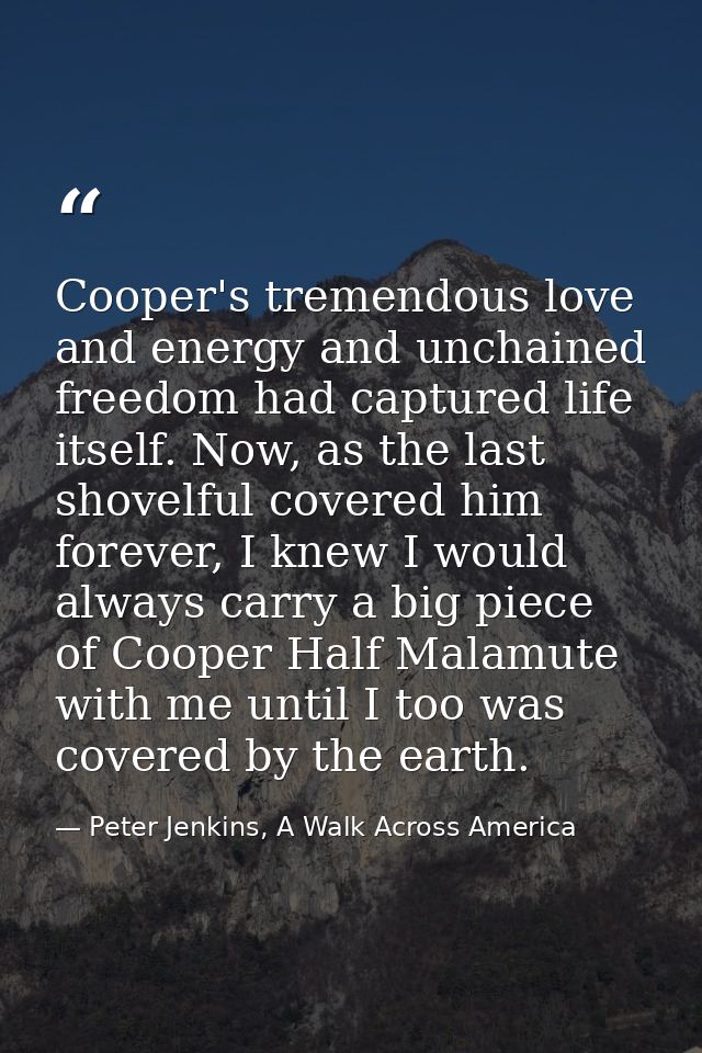 Cooper's tremendous love and energy and unchained freedom had captured life itself. Now, as the last shovelful covered h — Peter Jenkins, A Walk Across America