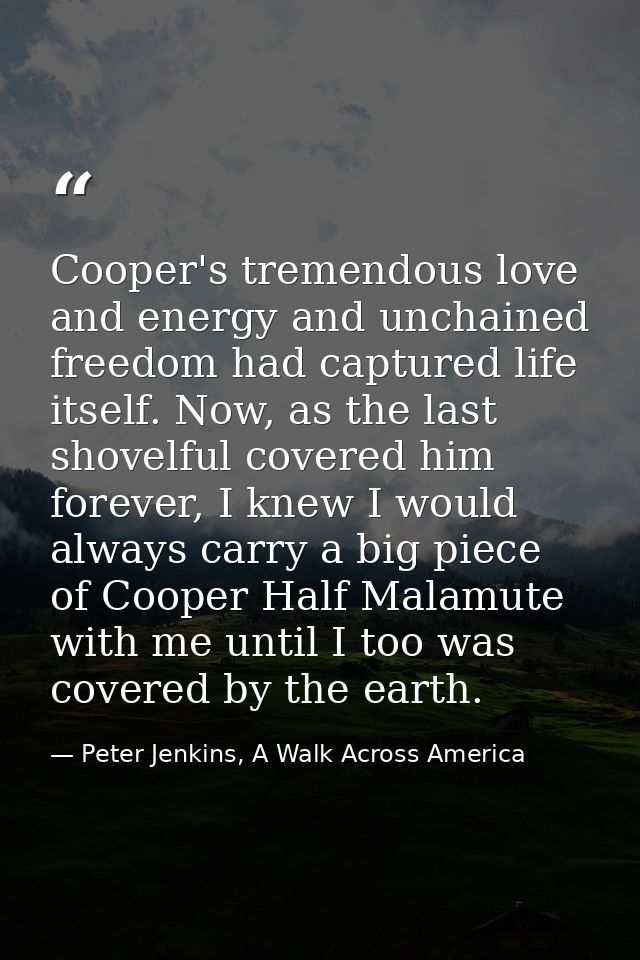 Cooper's tremendous love and energy and unchained freedom had captured life itself. Now, as the last shovelful covered h — Peter Jenkins, A Walk Across America