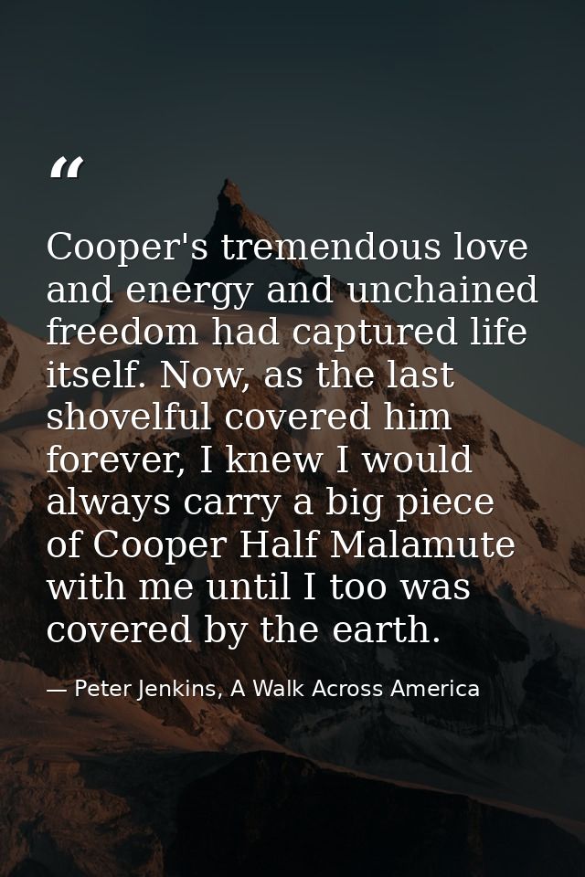Cooper's tremendous love and energy and unchained freedom had captured life itself. Now, as the last shovelful covered h — Peter Jenkins, A Walk Across America