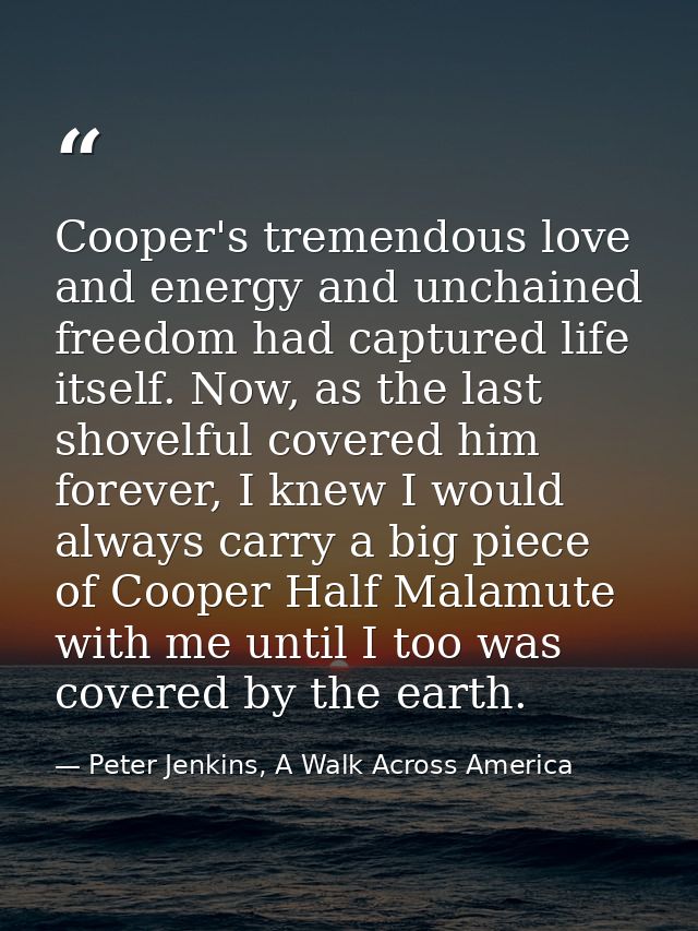 Cooper's tremendous love and energy and unchained freedom had captured life itself. Now, as the last shovelful covered h — Peter Jenkins, A Walk Across America